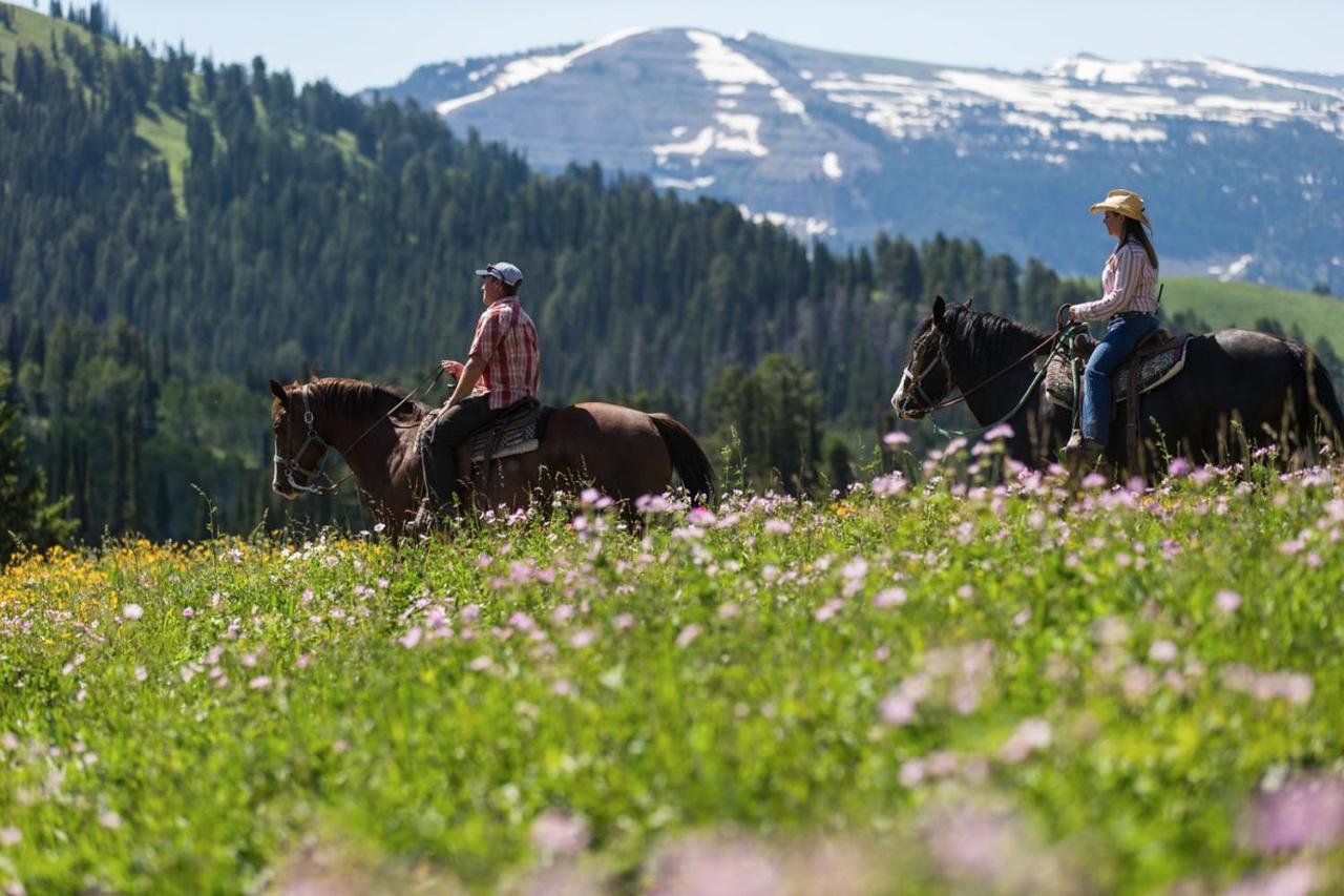Teewinot Lodge By Grand Targhee Resort Alta Dış mekan fotoğraf